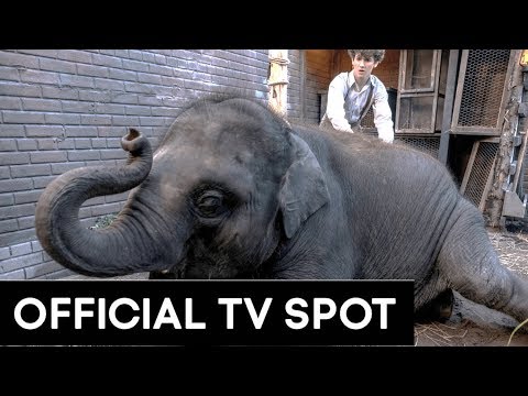 Zoo (TV Spot)