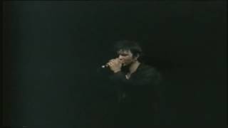2002 - Noir Désir Bouquet de nerfs (Live Zénith de Paris)