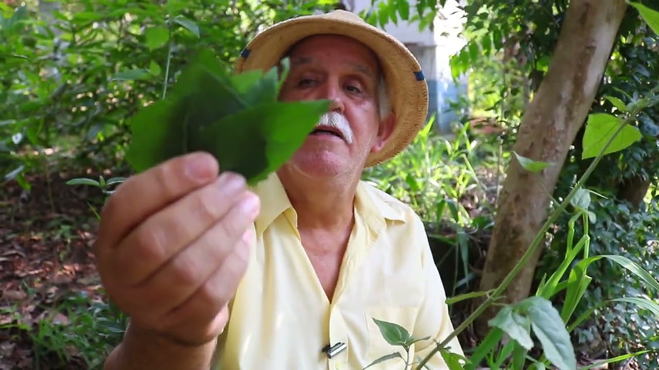QUEBRA DEMANDA E FEITIÇARIA