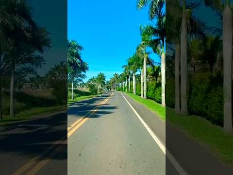 Nova Olímpia-PR