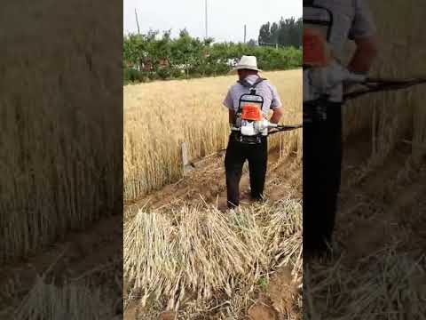 Husqvarna Grass Cutting Machine