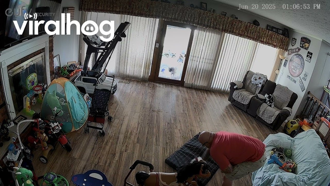 HUBBY DOWN! || ViralHog