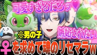 【初めてのポケモンSV】ニャオハが激メロすぎて絶対にメスがいいホゲータには辛辣なミラン【にじさんじ/切り抜き/ミランケストレル】