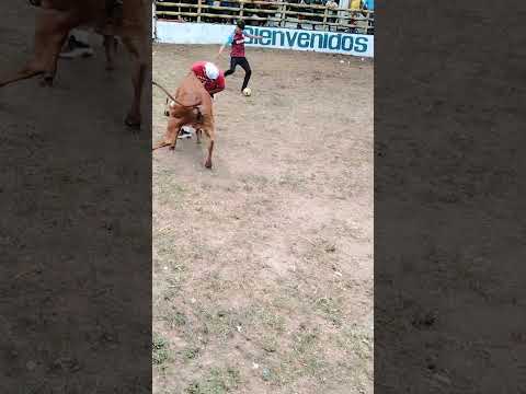 Juego De La Oca En El Toreo De San Luis Del Carmen
