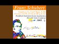 Symphony No. 3 in D Major, D. 200: III. Menuetto. Vivace - Trio