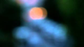 wayne shorter quartet - prometheus unbound