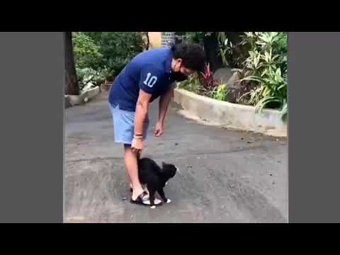 Sachin Tendulkar, playing with cat