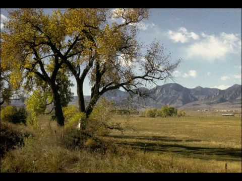 The Cottonwood Tree video thumbnail