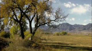 Marty Robbins - Cottonwood Tree