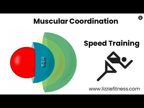 Speed Training - Muscular Coordination.