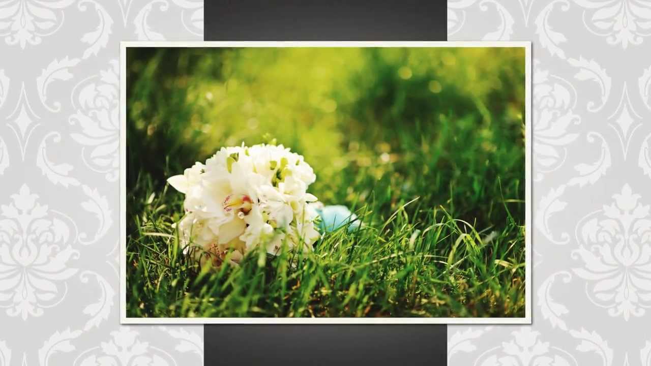 Damask Elegance Theme - ProShow Web