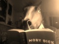 Horse Man Reads Moby Dick