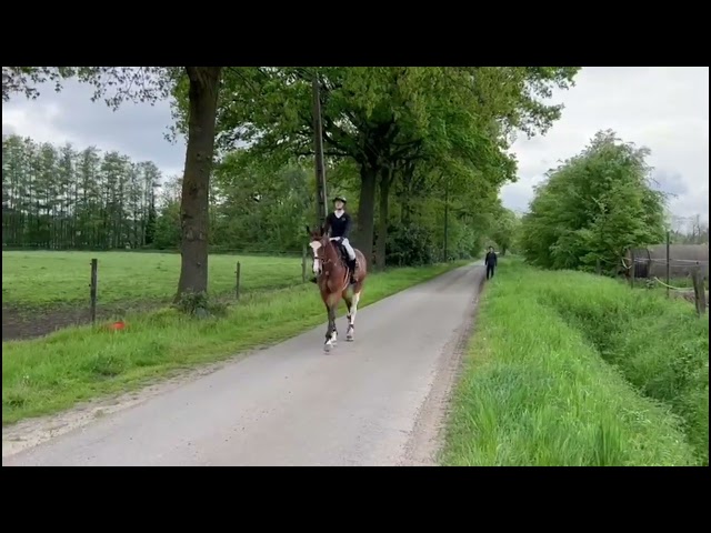 jumping under the saddle