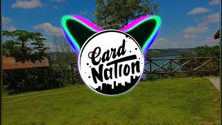 Dani Russo &amp; Mc Vinny - Não complica (Com Grave)