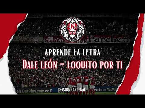 Dale León -  Loquito Por Ti Letra | Pasión Cardenal