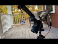 Grabbing Still Thermal Images Of Ice Using A FLIR A700