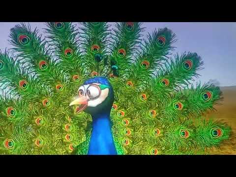 el pavo y la pava la granja de zenón