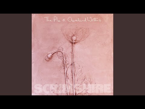 The Pile (feat. Cleveland Watkiss) (Radio Edit)