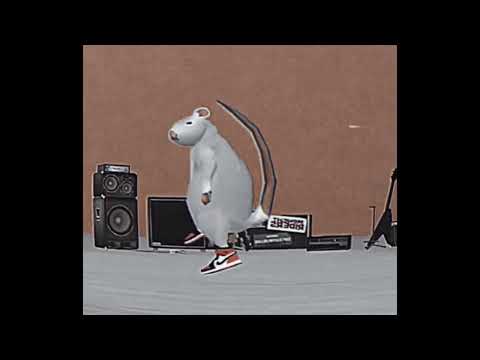 XvallariX - REAL N (SUPER SLOWED)