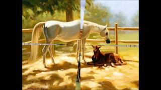 Then You Can Tell Me Goodbye.wmv   T.W.