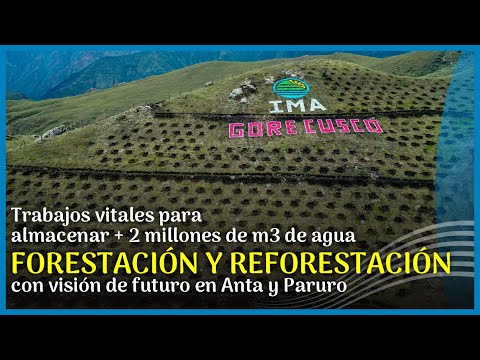🟢 Forestación y reforestación: Trabajos vitales para almacenar agua en Anta y Paruro (Cusco, Perú)