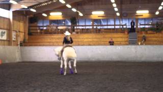 preview picture of video 'BWG med AWC 2014-05-03 - Reining C'