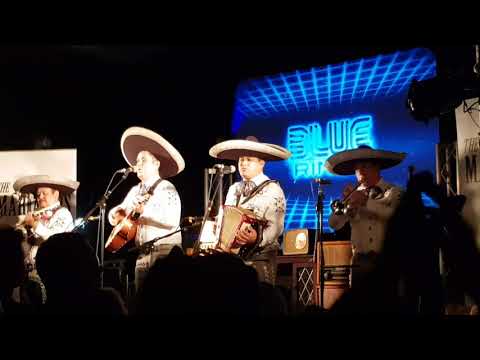 The Mariachis - Shotgun @ Truck Festival (26.07.19)