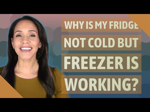 Why is my fridge not cold but freezer is working?