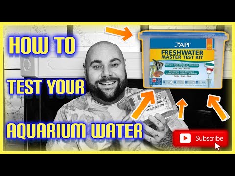 How To Check Your Aquarium Water With The API Freshwater Master Test Kit