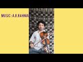 Velli Malare Violin Cover Song Jodi