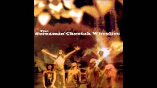 Screamin' Cheetah Wheelies - Screamin' Cheetah Wheelies (1993) Full Album
