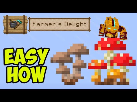 Minecraft Farmer's Delight MUSHROOM COLONY (FULL GUIDE) (EASY)