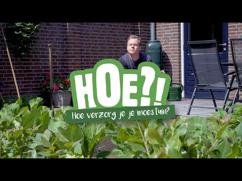 Hoe verzorg je je moestuin? | HOE?! | Welkoop