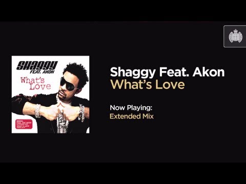 Shaggy Feat. Akon - What's Love (Extended Mix)