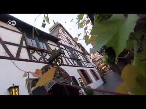 Unterwegs im Rheingau | Euromaxx - extratour