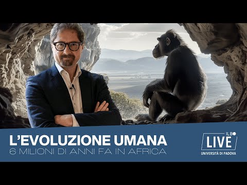 L’evoluzione umana: gli inizi, 6 milioni di anni fa in Africa - Puntata 1