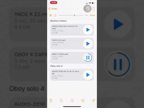 Oboy x capa (trade) #exclusive