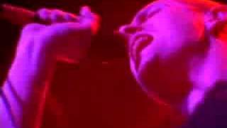PIGFACE  Insect / Suspect