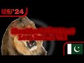 Shera Films 1998 Pakistan Logo Remake V2 1