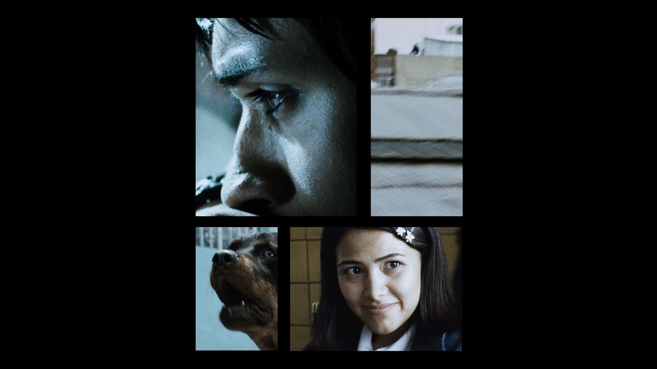 AMORES PERROS is a timeless mosaic of Mexico City in the year 2000. [Subtitled]