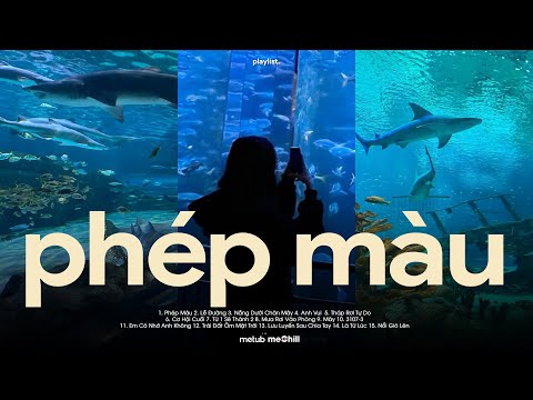 Phép Màu, Lễ Đường - Chẳng Phải Phép Màu Vậy Sao ♬ BXH Nhạc Lofi Chill Top Xu Hướng 2025 Triệu View