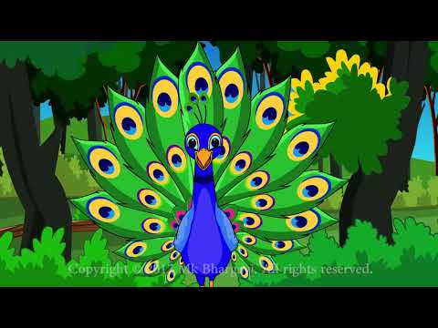 Peacock Song ||  #mkbhargavi  #nationalbird  #song