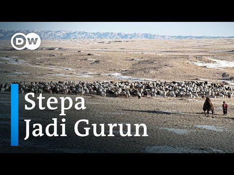 , title : 'Stepa Mongolia jadi Gurun Tandus, Pajak Padang Rumput pun Diterapkan'