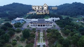 랜선으로 만나는 '박물관 숲 달밤투어' 이미지