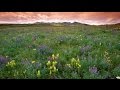 Prairie Song by Carl Strommen