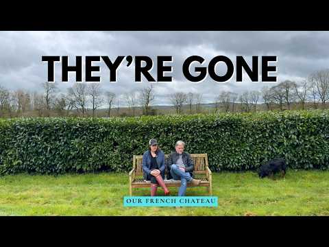 Our Lives Just Changed