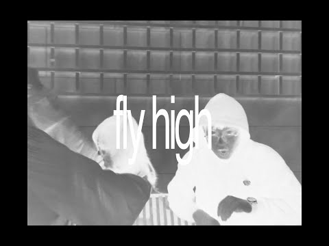 Poppy Pyonn x Vannex - FLY HIGH (Official Music Video)