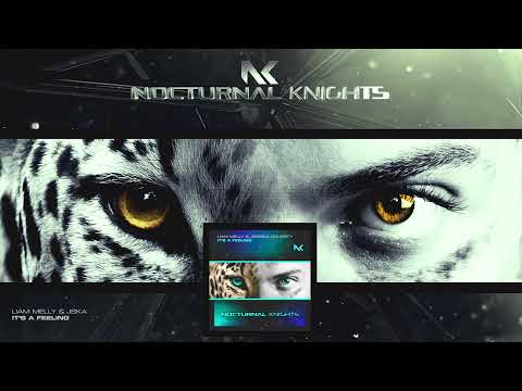 Liam Melly & JSKA - Lord It's A Feeling