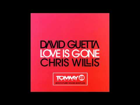 David Guetta - Love is Gone (Tommy B. Deejay 2015 Future House Bootleg)