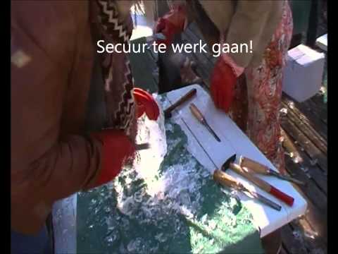 1001activiteiten.nl  - Workshop ijssculpturen maken